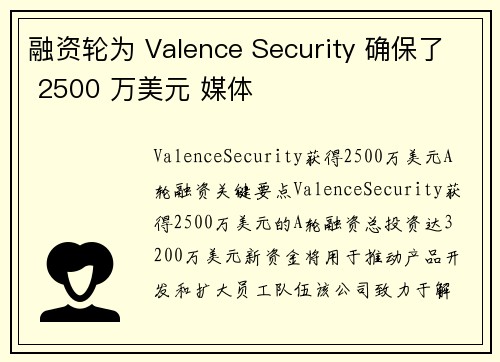 融资轮为 Valence Security 确保了 2500 万美元 媒体