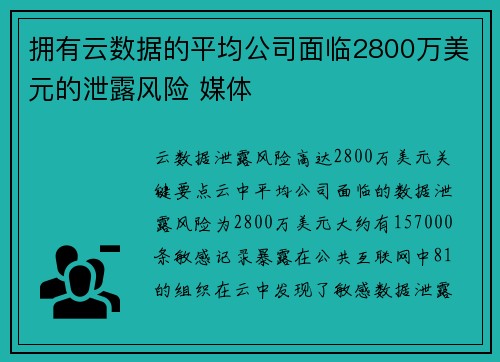 拥有云数据的平均公司面临2800万美元的泄露风险 媒体