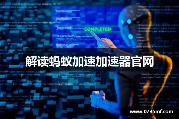 解读蚂蚁加速加速器官网